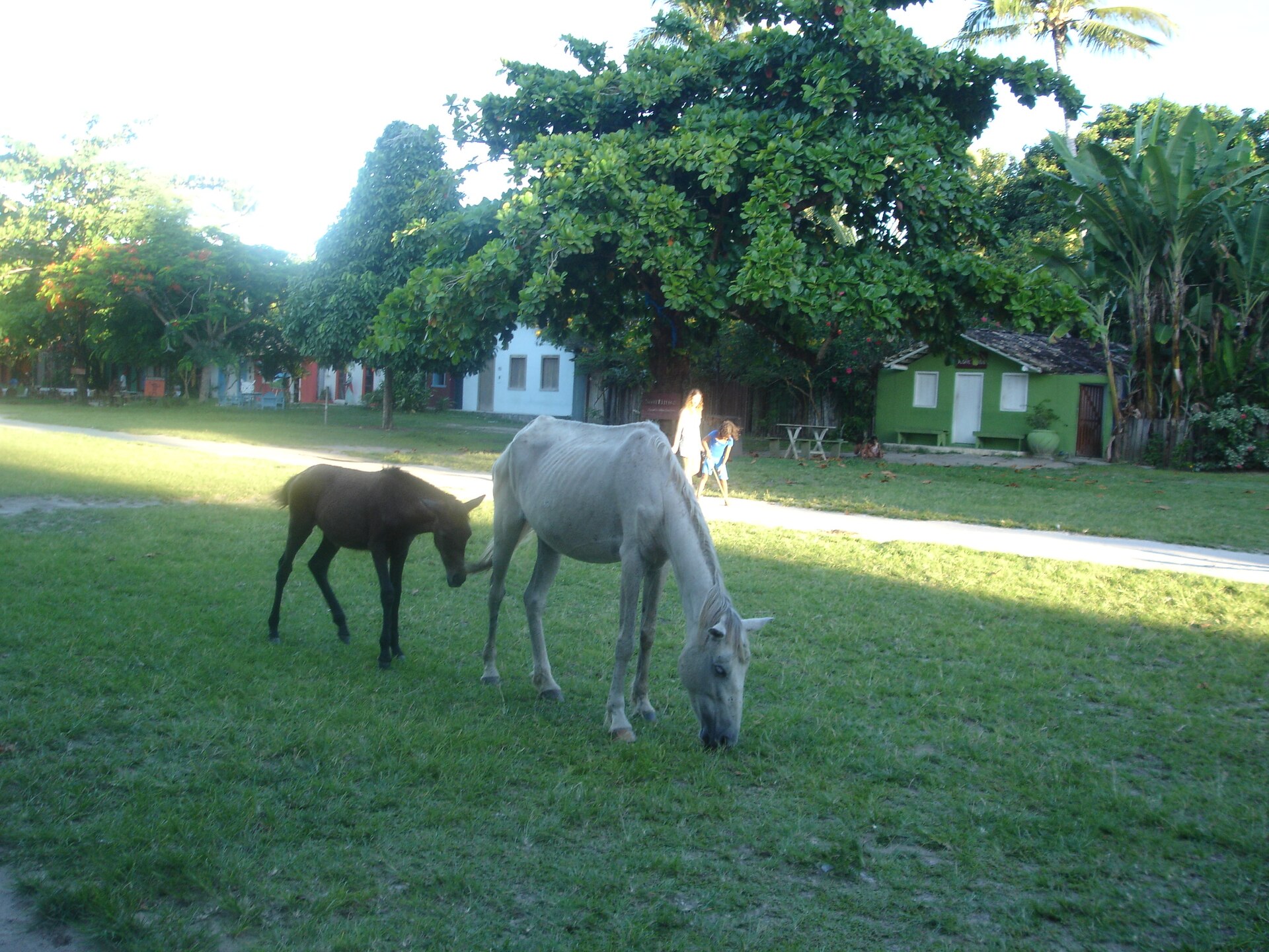Casarios coloridos do Quadrado de Trancoso